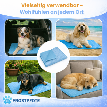 FrostPfote Kühl Matte